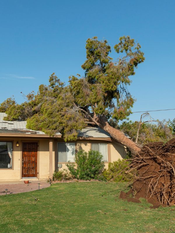 Damage Covered by Roof Insurance Claims