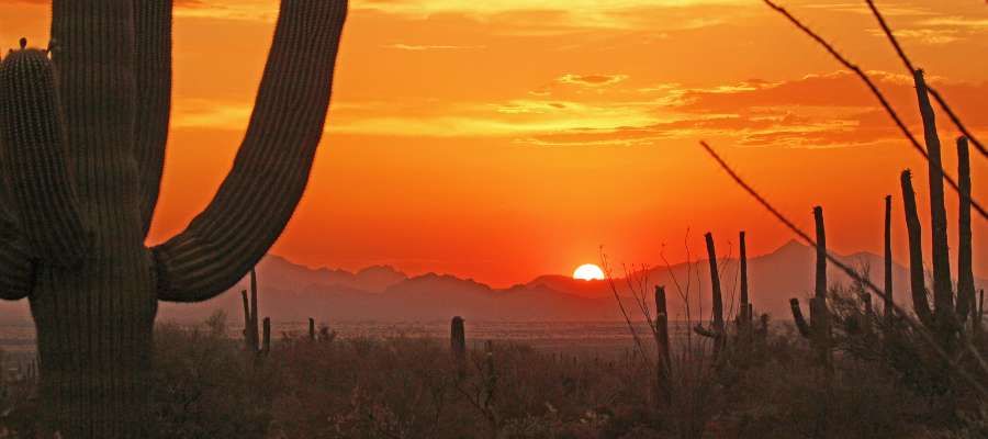 Roof Maintenance to Prepare for Hot Tucson Summers